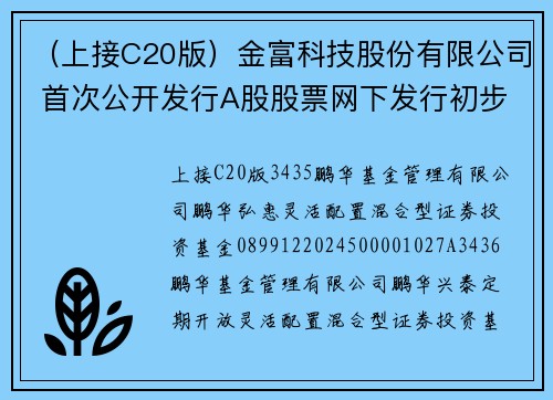（上接C20版）金富科技股份有限公司 首次公开发行A股股票网下发行初步配售结果公告（下转C22版）